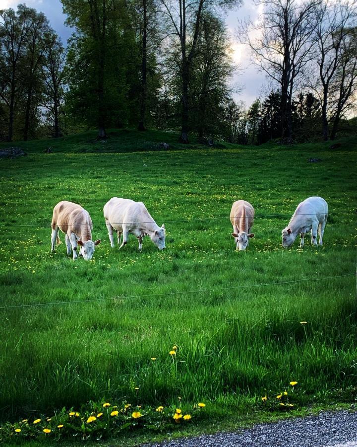 Skogshoejda Tjornarp ภายนอก รูปภาพ